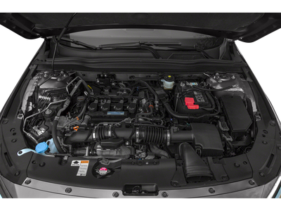 2019 Honda Accord EX-L 1.5T CVT
