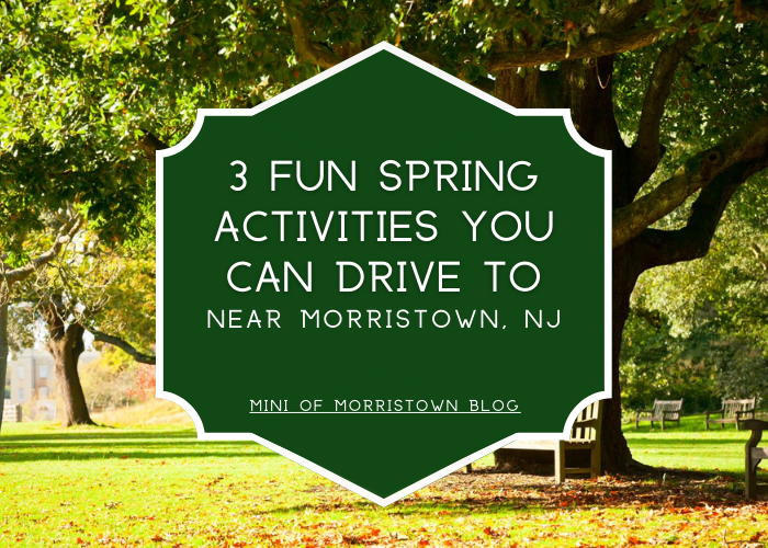 spring in Morristown, NJ