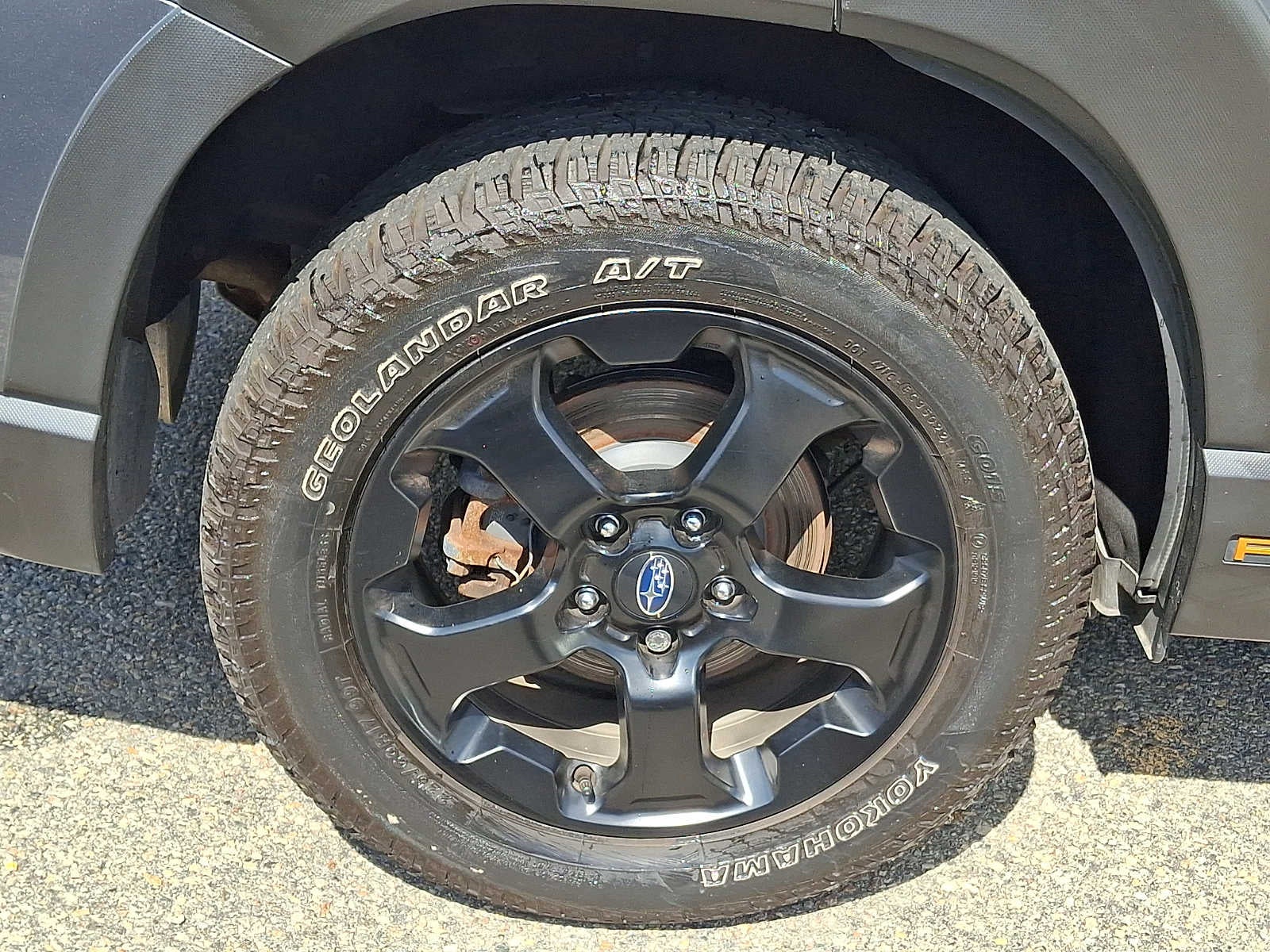 2023 Subaru Forester Wilderness CVT
