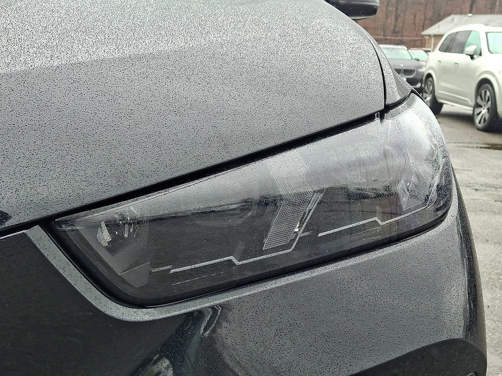 2025 BMW X5 xDrive40i Sports Activity Vehicle