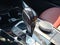 2024 BMW X3 xDrive30i Sports Activity Vehicle