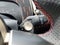 2027 MINI COUNTRYMAN Cooper S ALL4